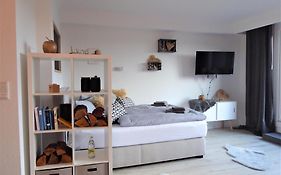 Nature Vibes Winterberg Ferienwohnung Pool Sauna Terrasse Wifi Balkon Near Bikepark